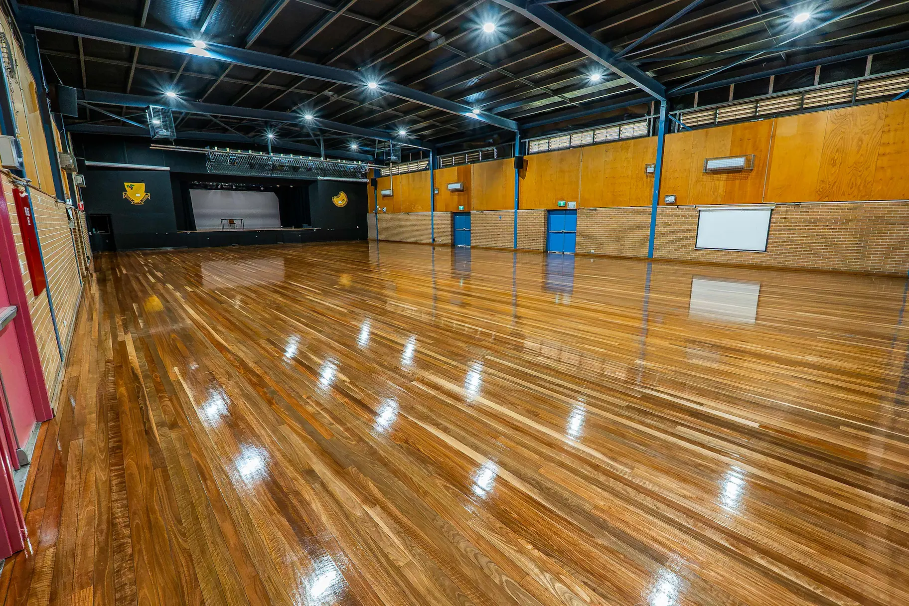 Close-up of sanded Spotted Gum timber surface